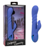 CALIFORNIA DREAMING L A LOVE