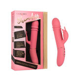 SHAMELESS TEASE - PINK