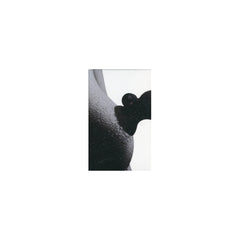 NIPPLICIOUS PREMIUM VIBRATING SUCTION CUPS - BLACK