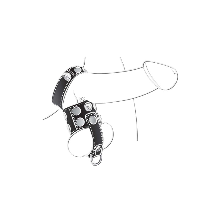 BALLGEAR BALL STRETCHER WITH SEPARATOR & D-RING-BLACK