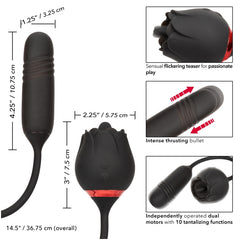 STIMULATOR BLACK 10X FRENCH KISS ELITE ROMEO
