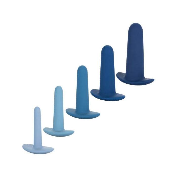 THEY-OLOGY 5-PC WEARABLE ANAL TRAINING SET