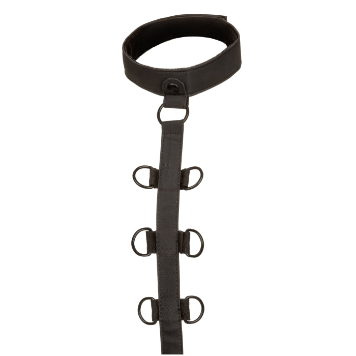 BOUNDLESS COLLAR BODY RESTRAINT