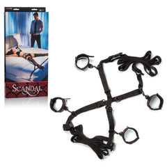 SCANDAL OVER THE BED CROSS