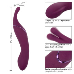 TEMPT & TEASE SASS - PUPLE