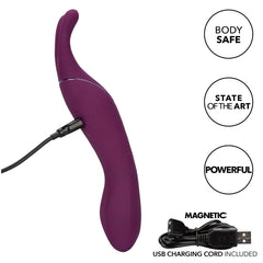 TEMPT & TEASE SASS - PUPLE