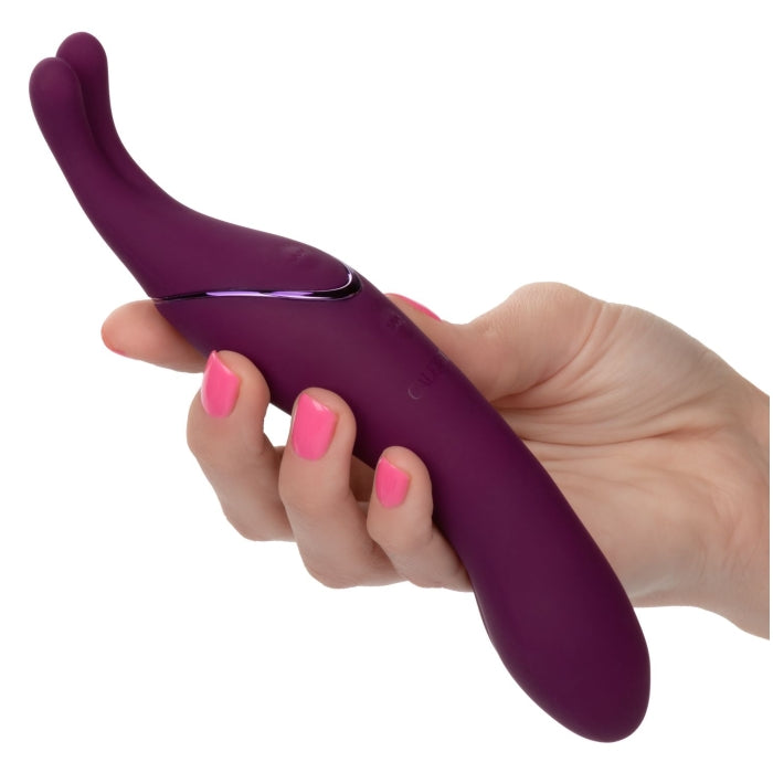 TEMPT & TEASE SASS - PUPLE