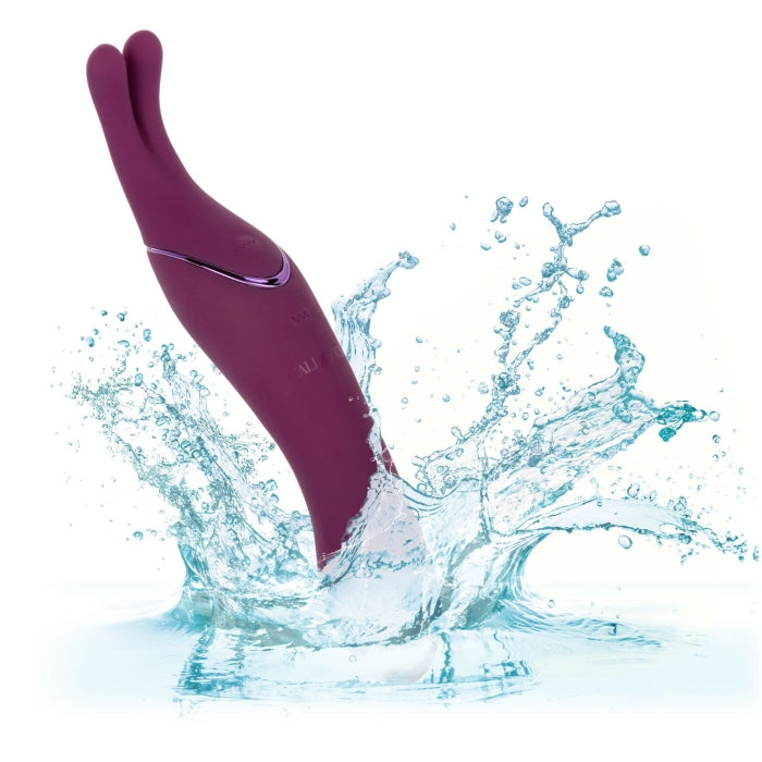 TEMPT & TEASE SASS - PUPLE