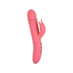 SHAMELESS TEASE - PINK