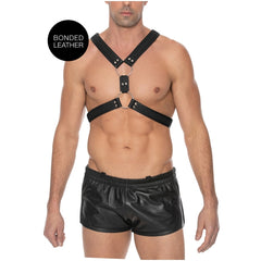 SCOTTISH HARNESS - L/XL - BLACK