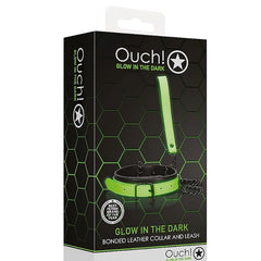 COLLAR AND LEASH GLOW IN THE DARK