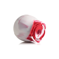 BL THE ROSE LOVERS GIFT BOX - SWIRL
